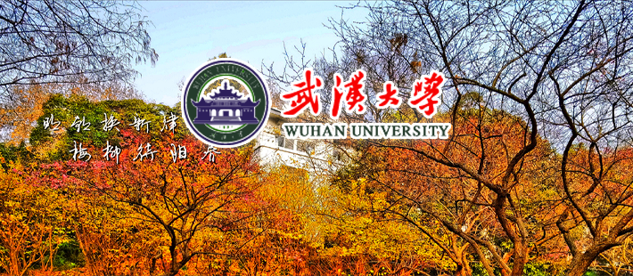 武汉大学